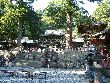 �Ȗ،��_��